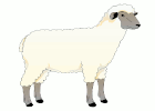 farm animals vocabulary image in English