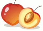 fruits vocabulary in English image