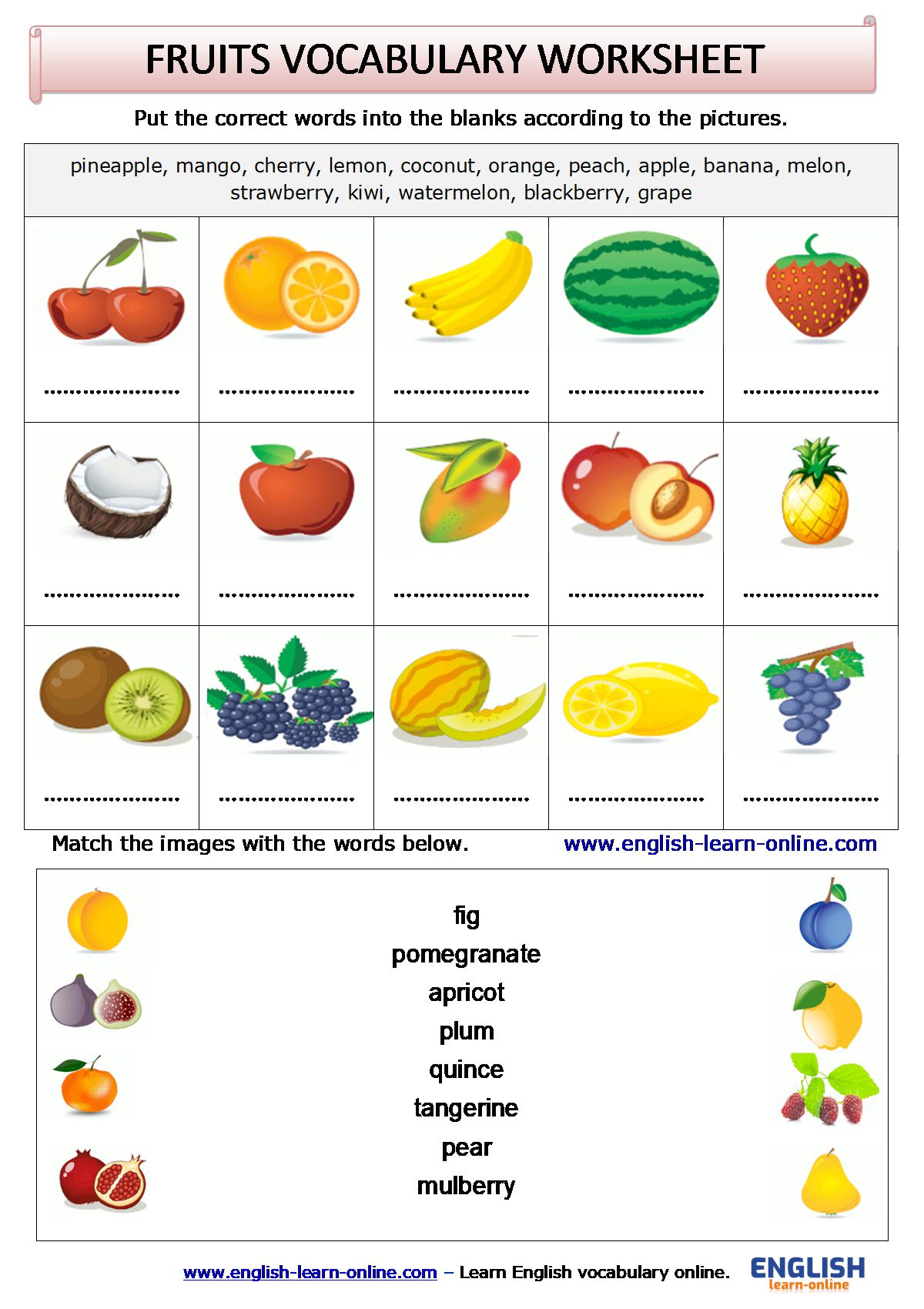 Fruit Names in English - Build Your Vocabulary