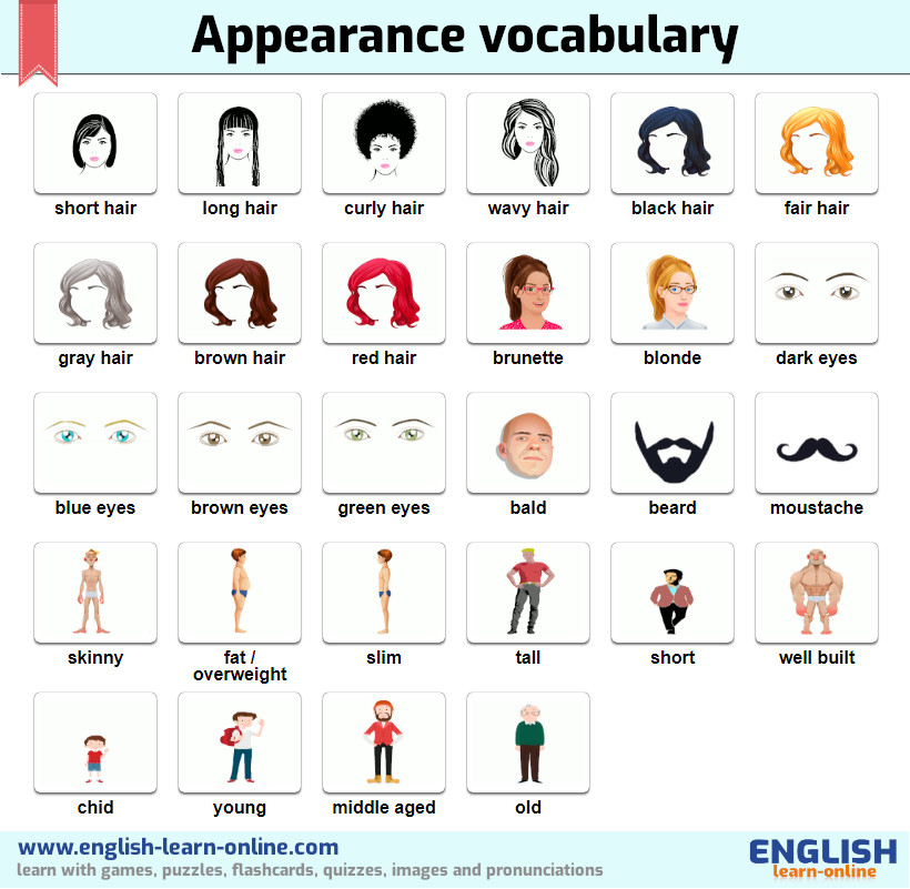 appearance vocabulary image
