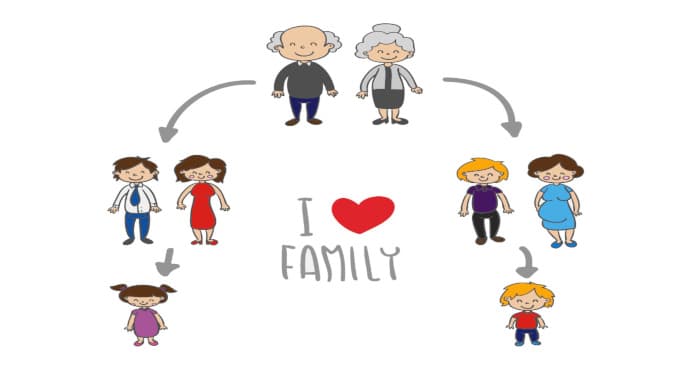 Family Members Vocabulary in English