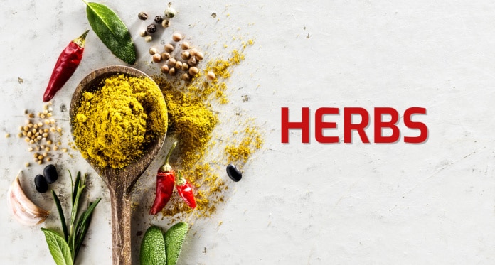 List of Herbs and Spices in English