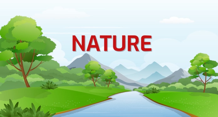 nature vocabulary in English