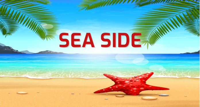 Words about Seaside in English – With Pictures and Quizzes